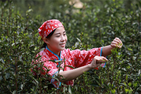 2022年“全國十佳農(nóng)民”揭曉 全國勞模石濡菲上榜！