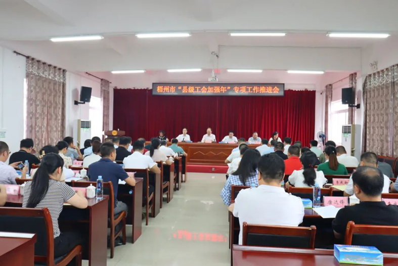 梧州市召開“縣級工會加強(qiáng)年”專項工作推進(jìn)會
