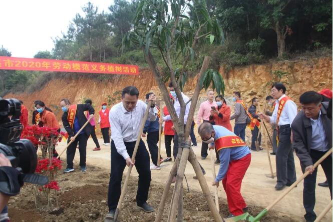 植樹造林，這群楷模這樣做