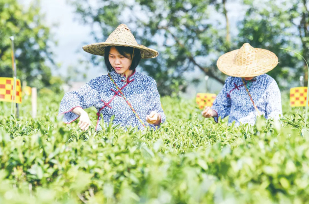 國家批復(fù)同意，梧州籌建！