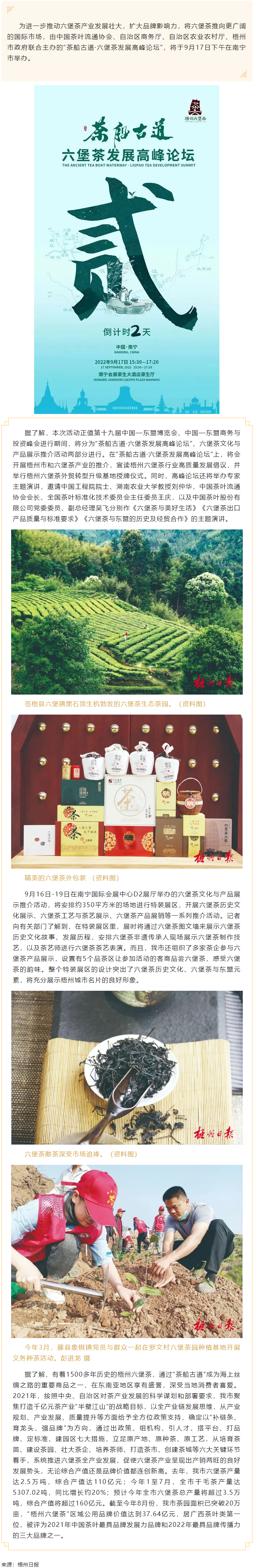 【媒體聚焦】品千年名茶韻味 論產(chǎn)業(yè)發(fā)展前景丨“茶船古道·六堡茶發(fā)展高峰論壇”將在南寧市舉辦.png
