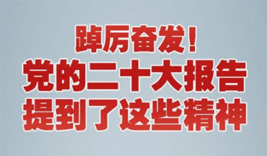 【黨的二十大】踔厲奮發(fā)！黨的二十大報告提到了這些精神