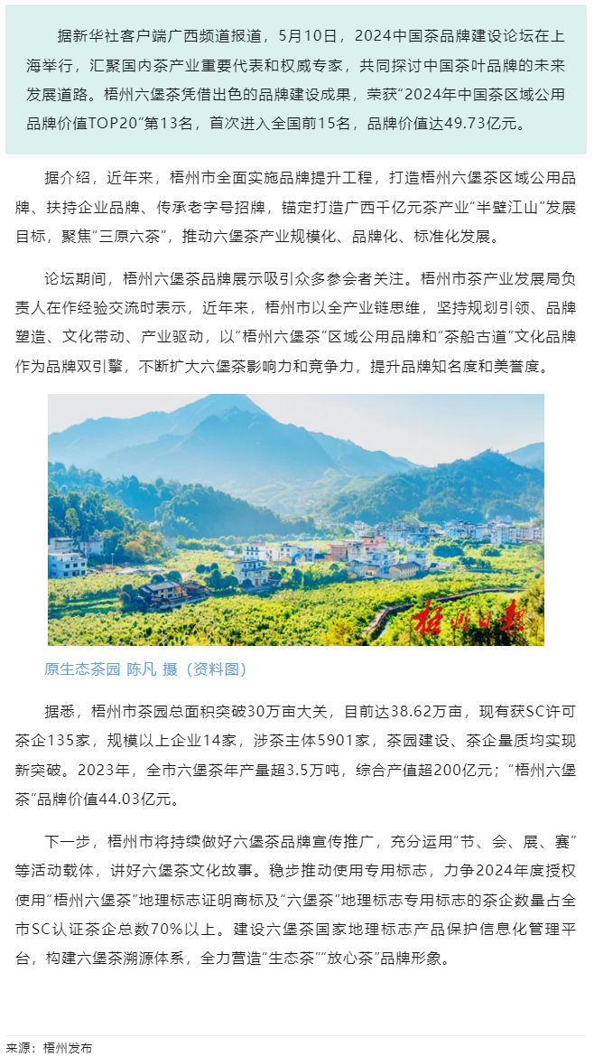 排名全國第13名！“梧州六堡茶”品牌價值實現(xiàn)新突破.png