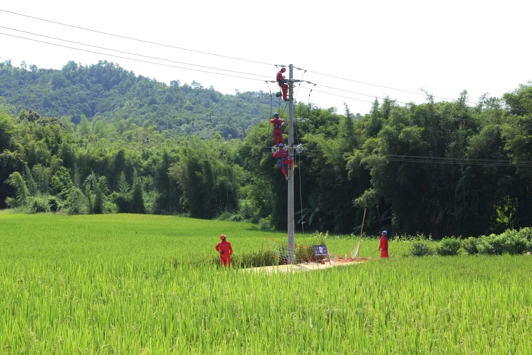  金秋時節(jié) 農(nóng)網(wǎng)改造施工忙