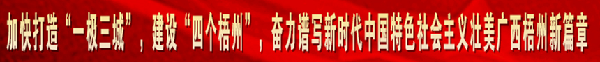 加快打造“一級(jí)三城市”，建設(shè)“四個(gè)梧州”，奮力譜寫(xiě)新時(shí)代中國(guó)特色社會(huì)主義壯美廣西梧州新篇章