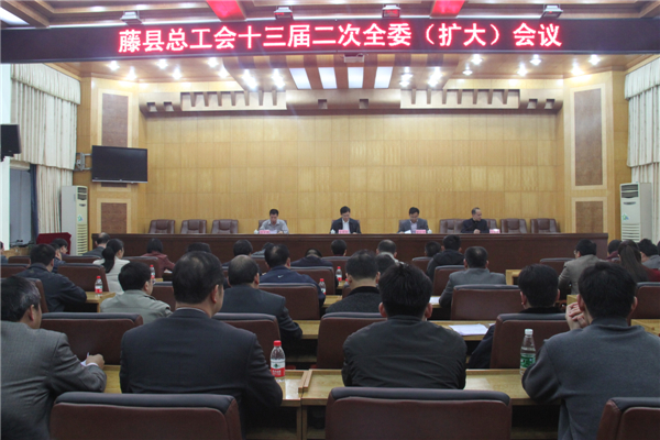 藤縣總工會召開十三屆二次全委(擴大)會議